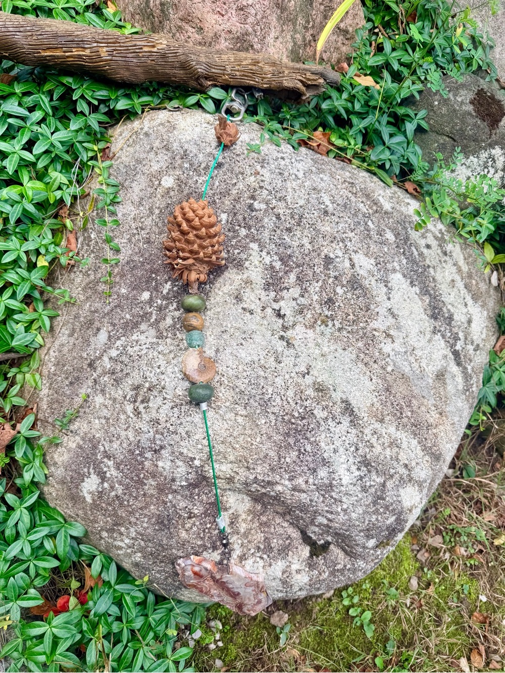 🌲NATURE INSPIRED DECOR - Picture 4 of 13